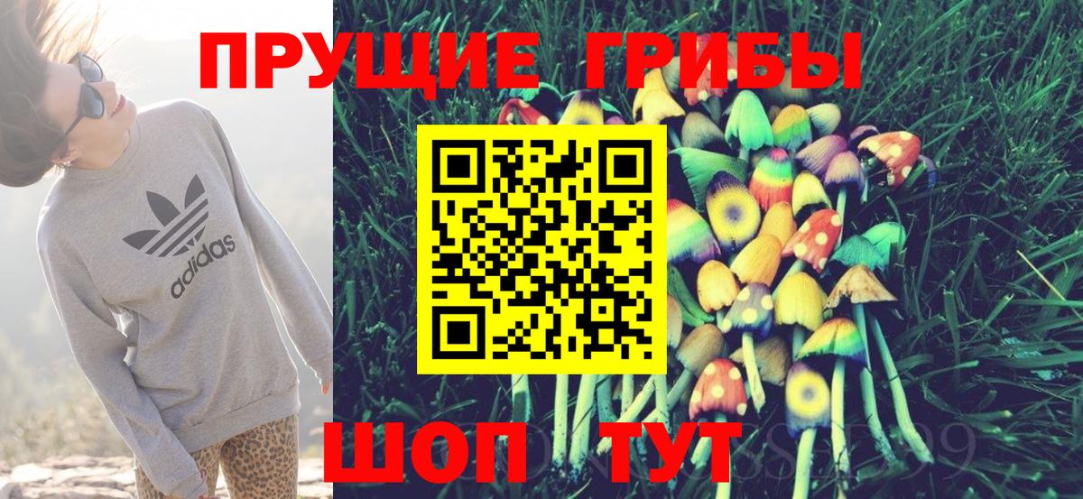 Осинники  Псилоцибиновые грибы GOLDEN TEACHER  Вход с VPN  Галлюциногенные грибы ЛСД 