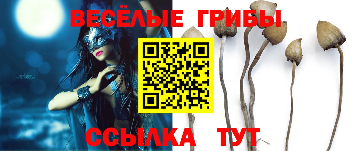 Галлюциногенные грибы Magic Shrooms Осинники
